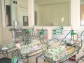 В Калининградской области назвали
