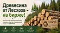 ��������� �� ������� � �� �����! ���������� ���������������� � ����� � ������� � ���������� ������ �� �������