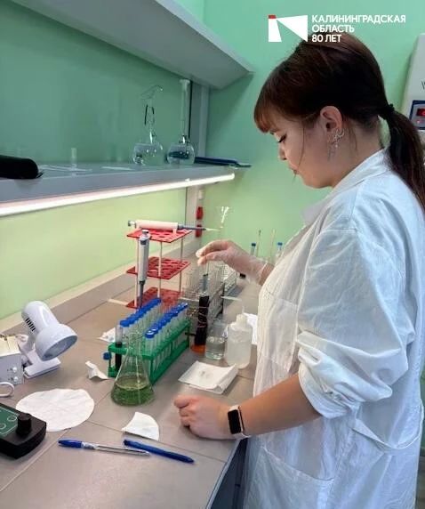 Студенты Калининградского филиала СПбГАУ исследовали состояние растений и почвы в регионе Студенты Калининградского филиала СПбГАУ исследовали состояние растений и почвы в регионе