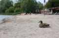 10 сентября сворачиваем все спасательные посты на городских озёрах