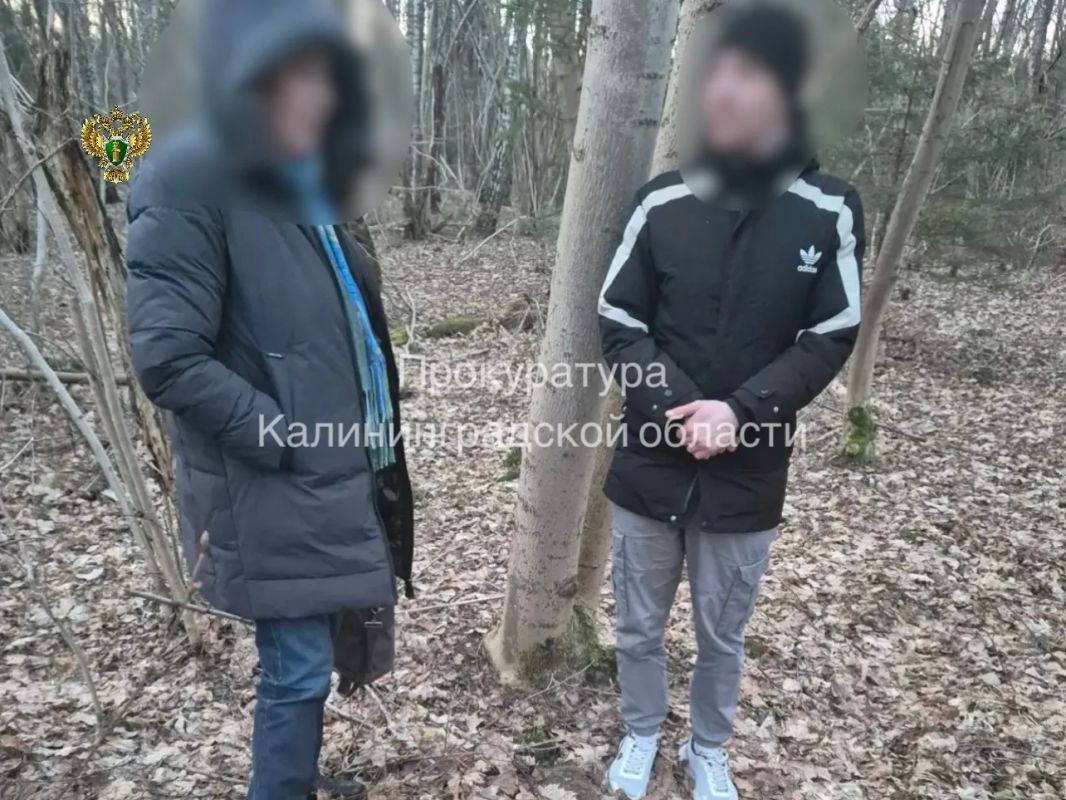 Вынесен приговор жителю Светлогорска, обвиняемому в незаконном хранении наркотиков Вынесен приговор жителю Светлогорска, обвиняемому в незаконном хранении наркотиков
