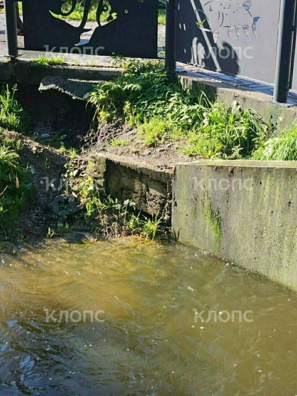 В Калининграде после ливней у Летнего озера начали размываться берега возле двух мостов В Калининграде после ливней у Летнего озера начали размываться берега возле двух мостов