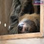 Доброе утро, друзья!. 6 сентября – День борьбы с прокрастинацией