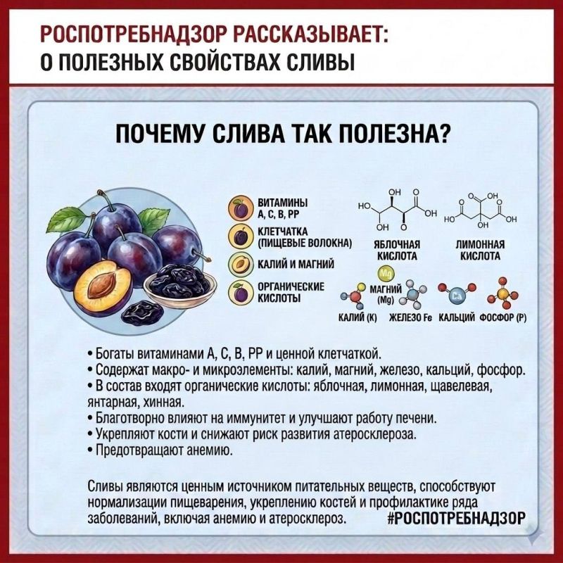 Сентябрь — время сочных фруктов и полезных ягод! Сентябрь — время сочных фруктов и полезных ягод!