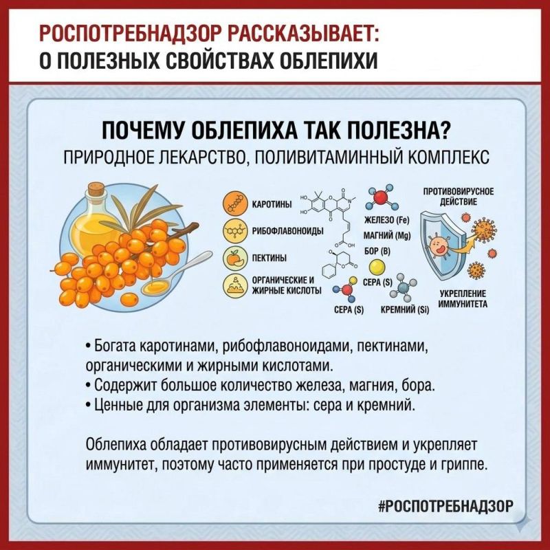 Сентябрь — время сочных фруктов и полезных ягод!