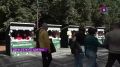 Как прошла благотворительная акция «День белого цветка»?