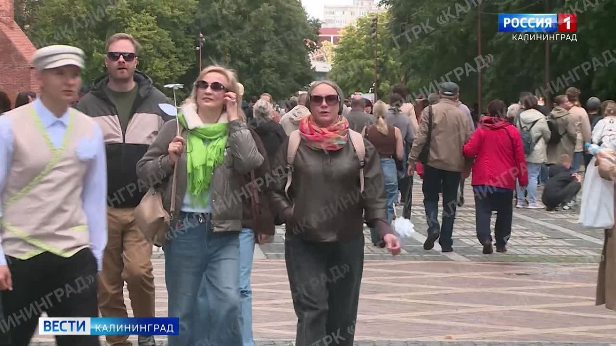 Акцию «Белый цветок» провели в Калининграде в пятый раз