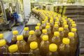 «Курскагротерминал» оспаривает доначисление налогов и штраф на 74,4 млн рублей