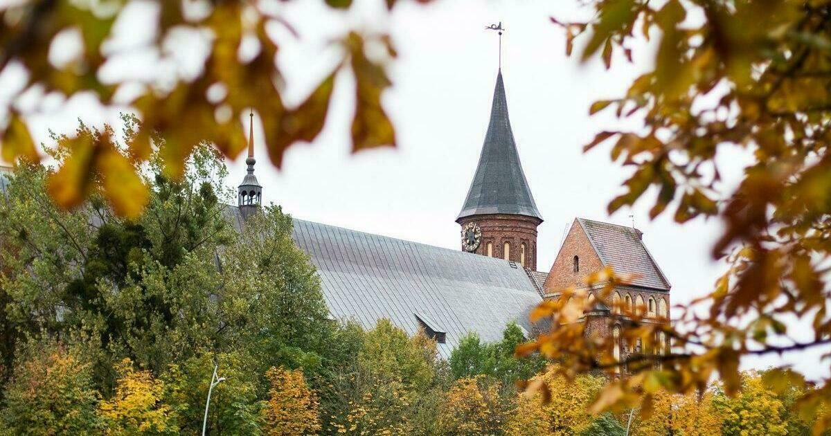 Утром почти лето, после обеда грозы: погода Калининградской области 9 сентября