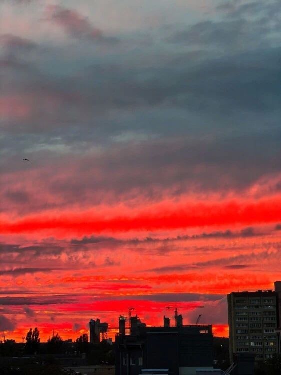 Закат над Калининградом сегодня напоминал торт «Красный бархат»