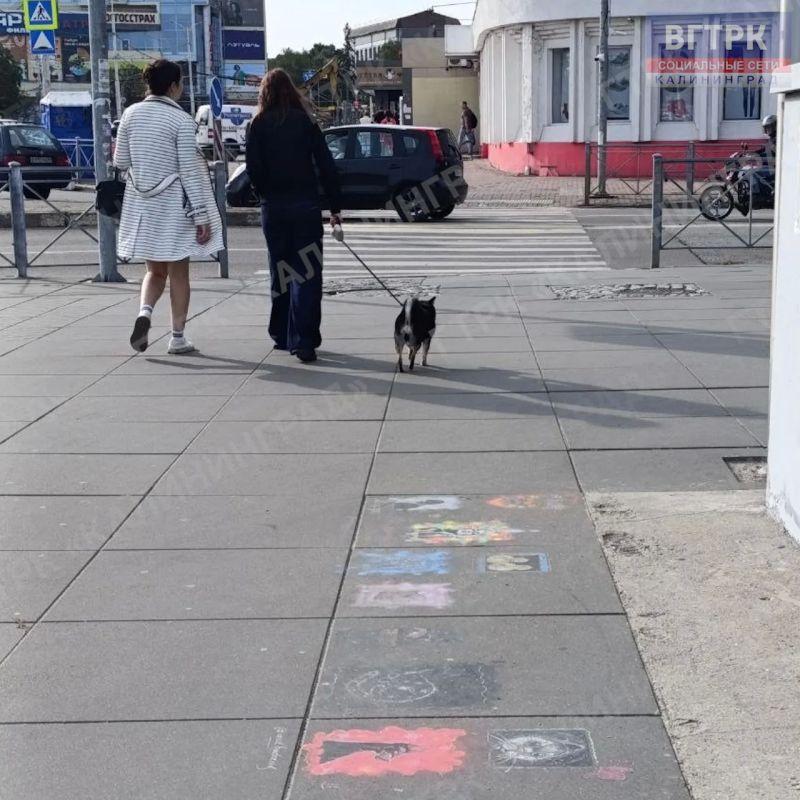 Тротуар у Нижнего озера в Калининграде превратился в полноценную арт-галерею под открытым небом Тротуар у Нижнего озера в Калининграде превратился в полноценную арт-галерею под открытым небом