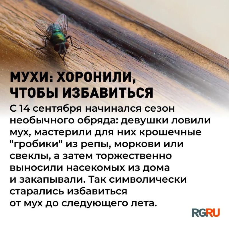 14 сентября для нас обычный сентябрьский день, а для наших предков эта дата была настоящей точкой перехода 14 сентября для нас обычный сентябрьский день, а для наших предков эта дата была настоящей точкой перехода
