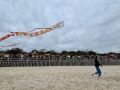В посёлке Лесной состоялся традиционный семейный праздник – День полётов воздушных змеев над Куршской косой
