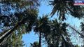 Калининградская область лидирует в народном рейтинге России по уровню экологии