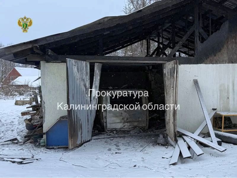 Поджигатель машины мамы из Немана ни о чём не жалеет
