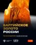 Балтийский янтарь — не просто окаменевшая смола, а ключ к пониманию экосистем возрастом 34–44 млн лет