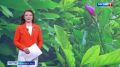 � ������������ ���� ������������ ����� ������� ��������