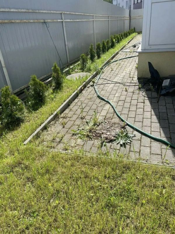 В Калининграде хозяйке участка в 8 соток запретили выезжать из страны, чтобы она навела порядок и посадила газоны В Калининграде хозяйке участка в 8 соток запретили выезжать из страны, чтобы она навела порядок и посадила газоны