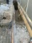В Калининграде хозяйке участка в 8 соток запретили выезжать из страны, чтобы она навела порядок и посадила газоны