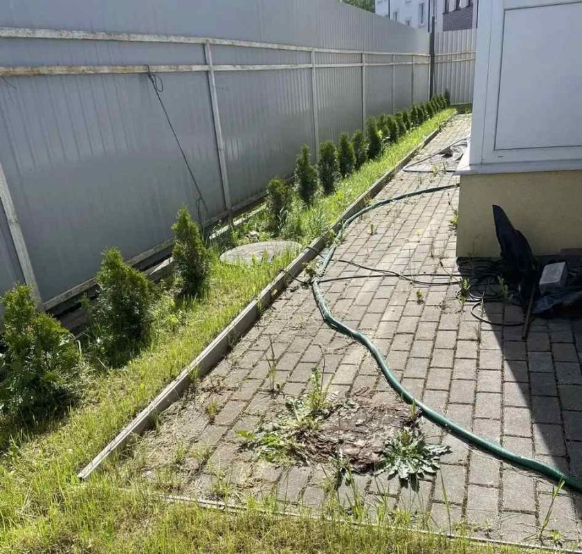 Власти Калининграда потребовали зелени у частного дома Власти Калининграда потребовали зелени у частного дома
