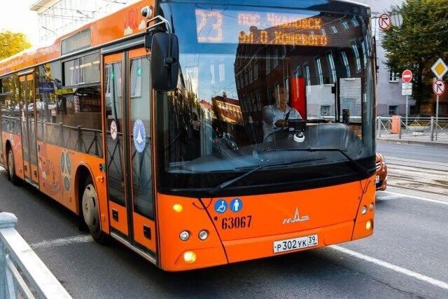 На закупку 44 автобусов для Калининграда направят 685,3 миллиона рублей