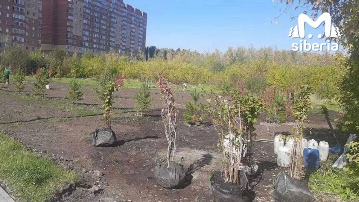 Продолжаем путешествие по местам, на которые мэрия Новосибирска потратила кучу денег Продолжаем путешествие по местам, на которые мэрия Новосибирска потратила кучу денег