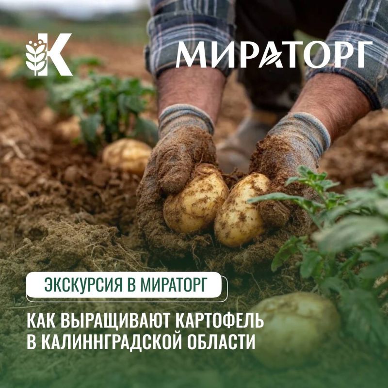 Экскурсия в мир современного картофелеводства для студентов