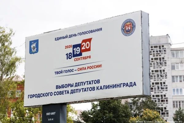Новости Калининграда: выборы, дело Кошевого, отопление в Балтийске и Чечня
