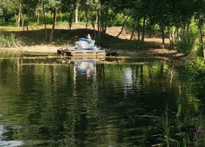 Елена Дятлова: Продолжаем очистку городских водоёмов с помощью специализированных машинамфибий Елена Дятлова: Продолжаем очистку городских водоёмов с помощью специализированных машинамфибий