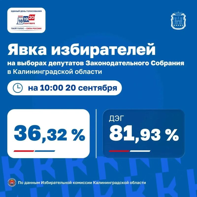Как голосует Калининград: данные на 10:00 20 сентября