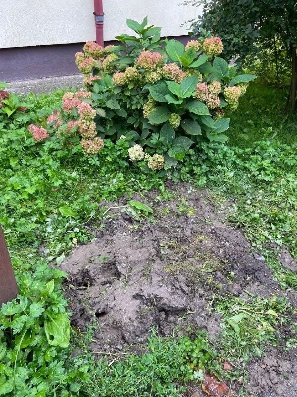 В Калининграде установили, переустановили, а затем убрали дорожные знаки В Калининграде установили, переустановили, а затем убрали дорожные знаки