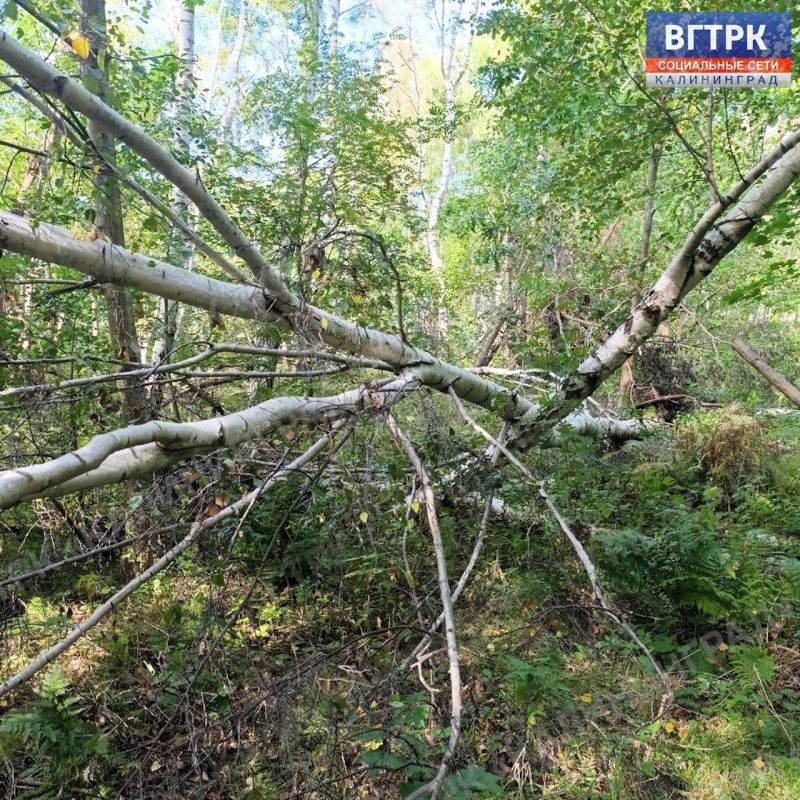 Сентябрь продолжает радовать жителей регионов удивительно теплой и солнечной погодой, даря идеальную возможность насладиться загородным отдыхом перед скорым наступлением осенних холодов Сентябрь продолжает радовать жителей регионов удивительно теплой и солнечной погодой, даря идеальную возможность насладиться загородным отдыхом перед скорым наступлением осенних холодов