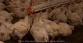 ������ � ������� ������� ���������� �� ������