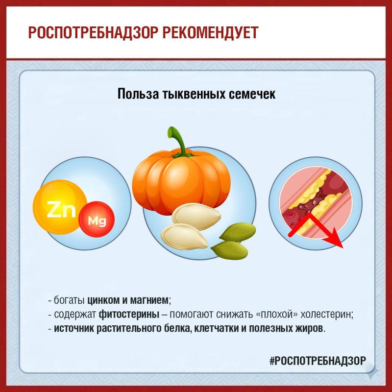 Тыква в осеннем рационе: польза в каждом кусочке! Тыква в осеннем рационе: польза в каждом кусочке!