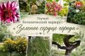 � ������������ �������� ������ ����������� ������������ ���������� ������� ������ ������, ��������� � ������ ������������� ������� �������������� ������������