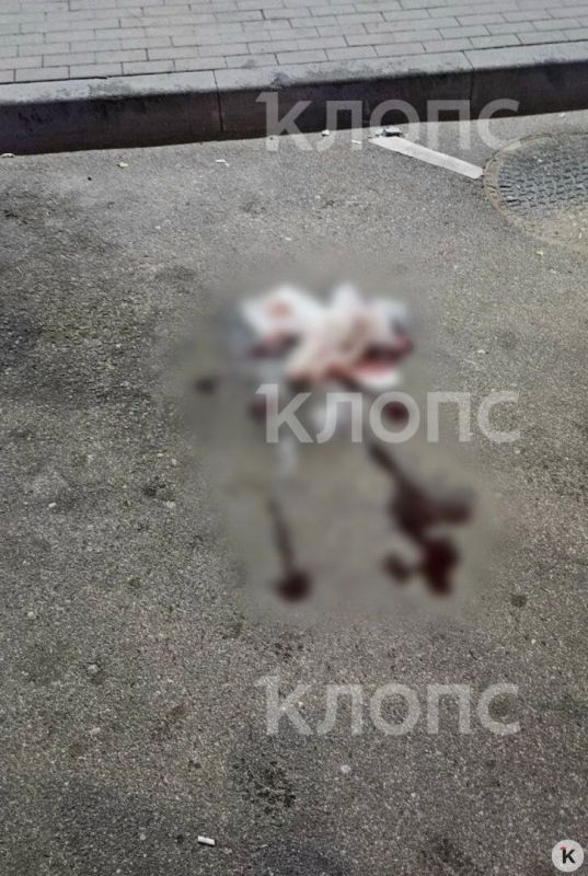 В Калининграде автомобилист нашёл на дороге мужчину, которому едва не перерезали горло В Калининграде автомобилист нашёл на дороге мужчину, которому едва не перерезали горло