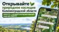 ���������� ��������� �������� ��������������� ������� ������ � ����� ������������� ������ ����!