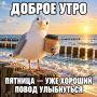 ���� ������ � ������������� ���!
