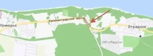 Аллея дуба черешчатого у города Нестерова - памятник природы регионального значения Аллея дуба черешчатого у города Нестерова - памятник природы регионального значения