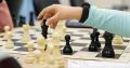 Эмигрант из России стал президентом Международной шахматной федерации