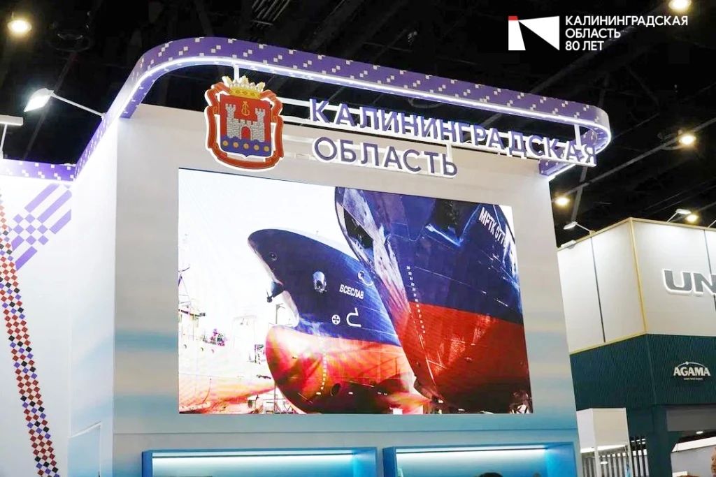 Калининградские компании представили свою продукцию на Global Fishery Forum & Seafood Expo 2026 в Санкт-Петербурге Калининградские компании представили свою продукцию на Global Fishery Forum & Seafood Expo 2026 в Санкт-Петербурге