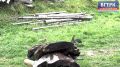 � ����� � ��������. . ��� �������� ��������� ��������� ����� � ��������-���������� ����� ������ ��� ����������� ����� ����������� ���������� ��������. ������� ��� ����� ����� ������������ ������ ����� ����� � ���������...