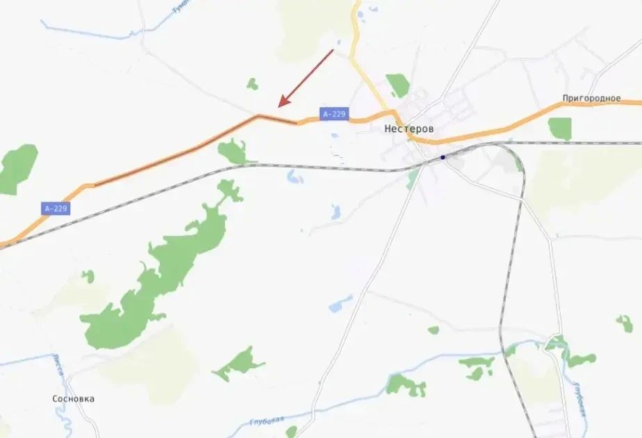 Аллея дуба черешчатого у города Нестерова - памятник природы регионального значения Аллея дуба черешчатого у города Нестерова - памятник природы регионального значения