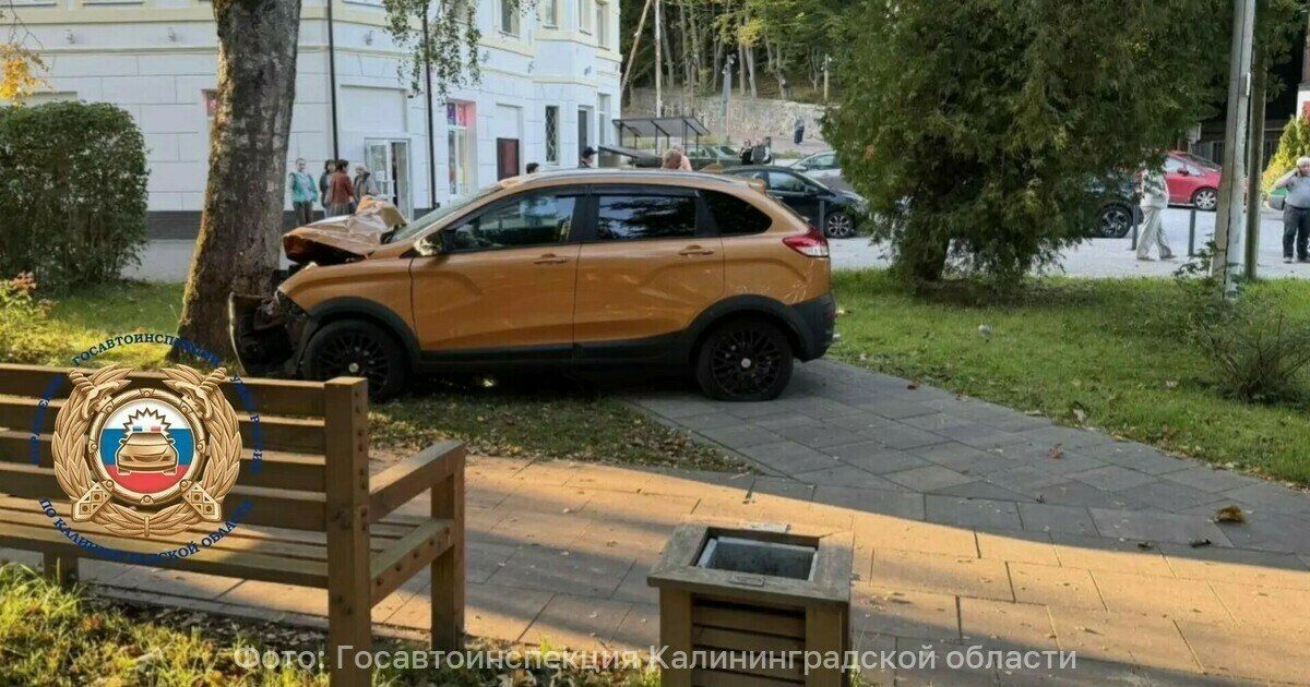 В Светлогорске апельсиновую «Ладу» занесло на повороте, машина врезалась в дерево