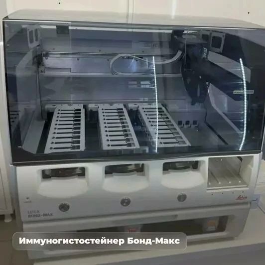 В Калининградской области закупили новое оборудование для медицинских исследований В Калининградской области закупили новое оборудование для медицинских исследований