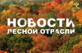 Нижегородская правда: Плошадь нижегородских лесов увеличится на 334 гектара