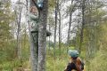 В «Виштынецком» запишут голоса благородных оленей