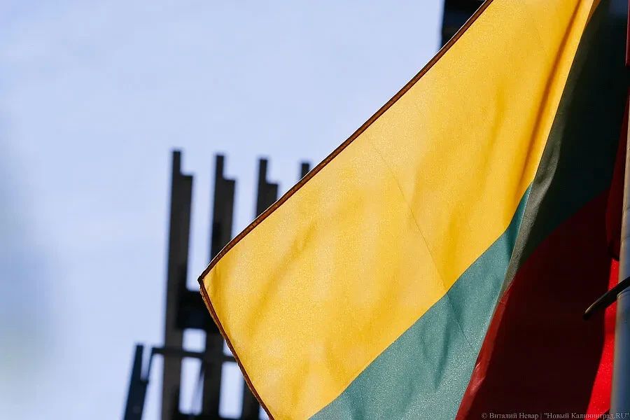 Власти Литвы одобрили ограничение работы россиян и белорусов, поддерживающих СВО