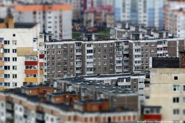 Новости Калининграда: ядерные угрозы, «Белая дюна» и петух вместо будильника