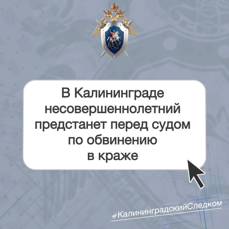 В Калининграде несовершеннолетний предстанет перед судом по обвинению в краже